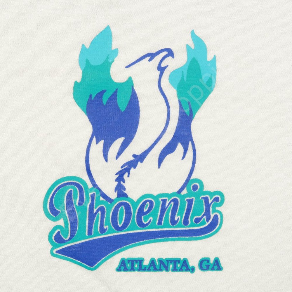 Russell Vintage 1990s Phoenix Atlanta GA Single Stitch T Shirt in White Size 2XL - Picture 4 of 8